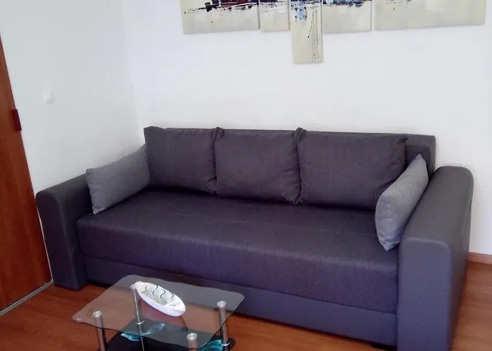 Vila Piljusic